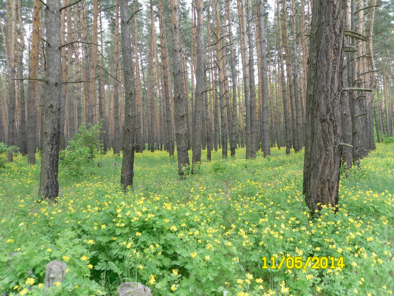 Мои фотографии - Фотоальбомы - Все самое нужное, в нашем магазине!